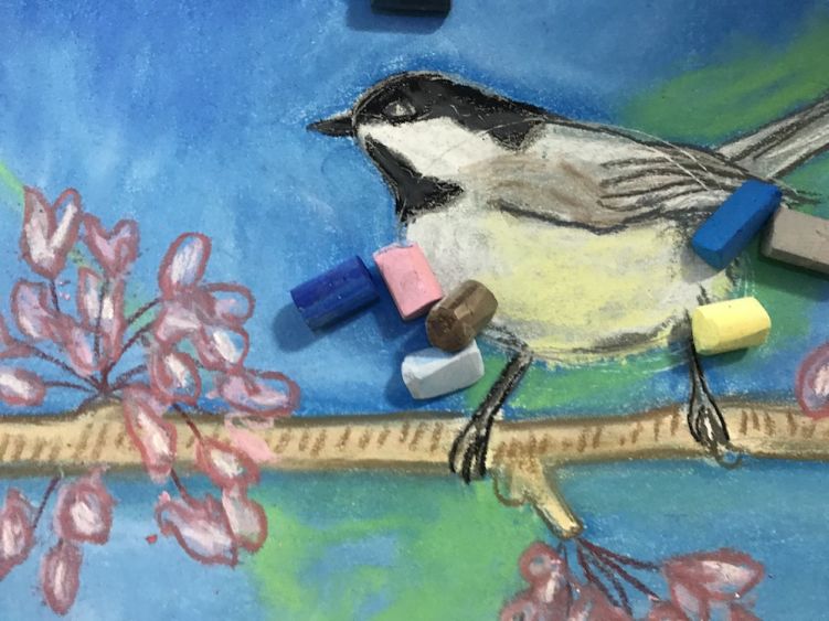 Art Classes for Beginners: Explore Soft Pastel Drawing with a Supportive Online Tutor